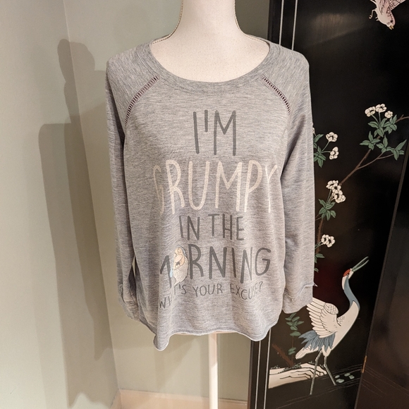 Disney Wmns Medium Grumpy Gray "I'm Grumpy In the Morning" Long Sleeve Shirt 45 - Picture 1 of 8